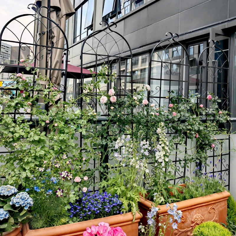 Black Metal Garden Trellis for Climbing Plants, 71" x 80"