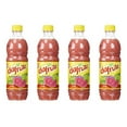 4 Pack Guava Concentrate Juice 16 9 Fl Oz Suco De Goiaba Concentrado 4-pack-guava-concentrate-juice-16-9-fl-oz-suco-de-goiaba-concentrado