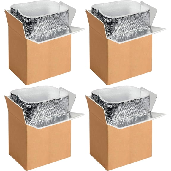 4 Pack Insulated Shipping Boxes with Aluminum Foil Liner,Thermal Insulation Cold Pack Shipping Boxes for Frozen, Reusable Styrofoam Cooler Box, Small Mailing Box, 6''x5''x9''