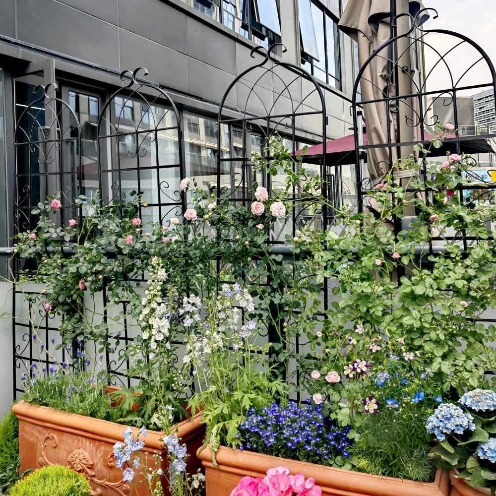 Black Metal Garden Trellis for Climbing Plants, 71" x 80"