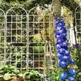thumbnail image 1 of 4 Pack Metal Garden Trellis 86.7" x 19.7" Rustproof Expandable Garden Grid for Climbing Plants Outdoor Vine Support Cream White Heavy Duty Flower Frame, 1 of 9