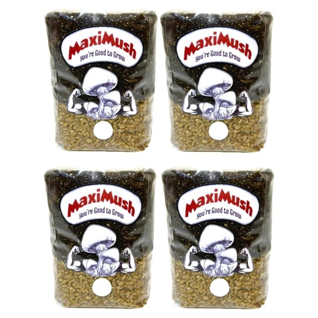 (4Pack) Mushroom Grow Kit! Magic Grow Bag for Mushrooms! (Original
