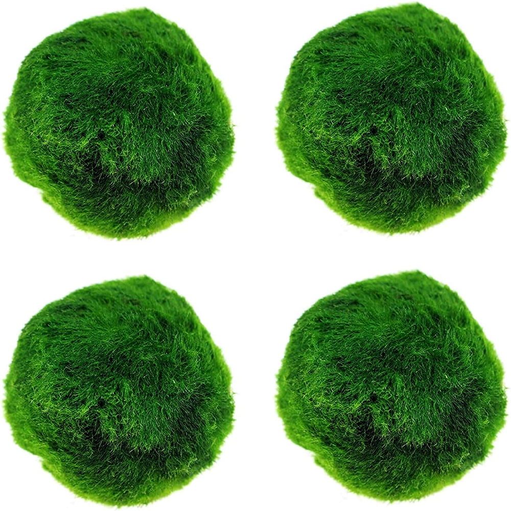 4 Pack Natural Moss Balls, Natural Green Moss Globes with Handmade