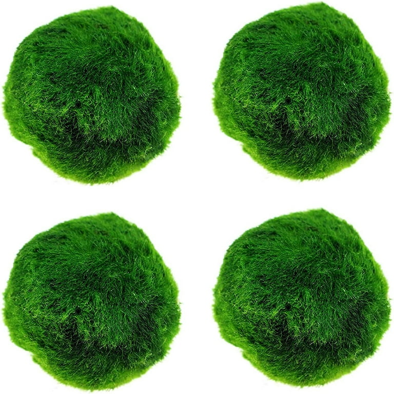 Aetomce 4 Pack Natural Moss Balls, Natural Green Moss Globes with Handmade, Hanging Balls Vase Bowl Filler, Decorative Moss Balls for Home, Garden, Party