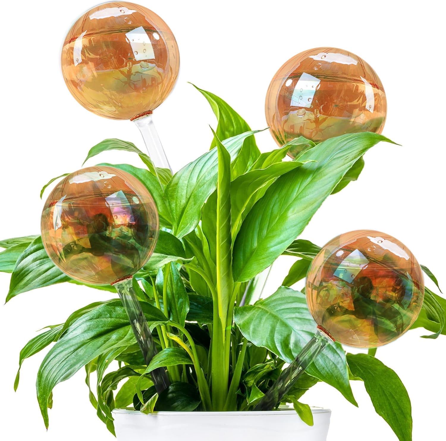 4 Pack Plant Watering Balls, Gold Stripe Glass Watering Fixture, Self