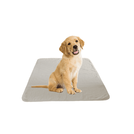 4 Pack Puppy Training Washable Pee Pad - Whelping Absorbent Reusable Pads Carpet/Seat Protection