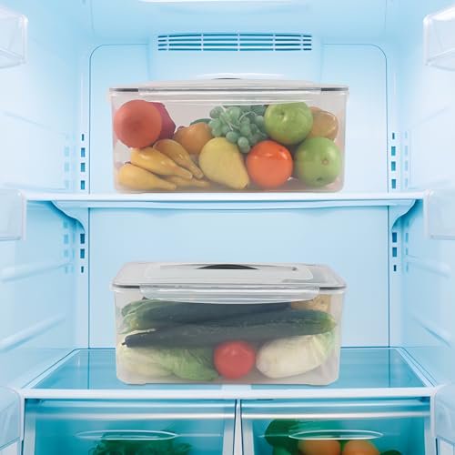 4Pack Rectangular Food Containers with Lid, Clear Plastic Storage