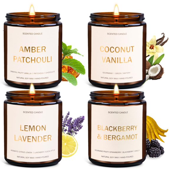 4 Pack Scented Candles for Home, Christmas Candles Gifts for Women, Aromatherapy Candles Gift Set, 29OZ 200H Long Lasting Jar Candles, Soy Scented Candles for Birthday, Valentine, Christmas C21