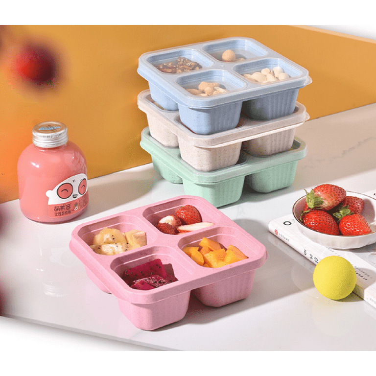 DESLON 4 Pack Snack Containers for Kids Adults, 4 Compartment Bento Snack  Box, Reusable Meal Prep Lunch Containers with Compartment, Divided Small