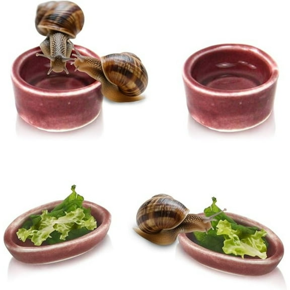 4 Pack Snail Food and Water Bowl Dish Ceramic for Land Snail Supplies