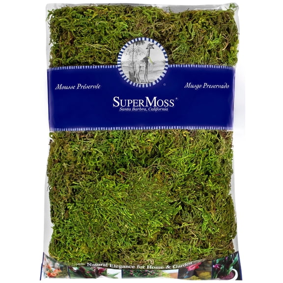 SuperMoss Preserved Forest Moss, 4 Pack