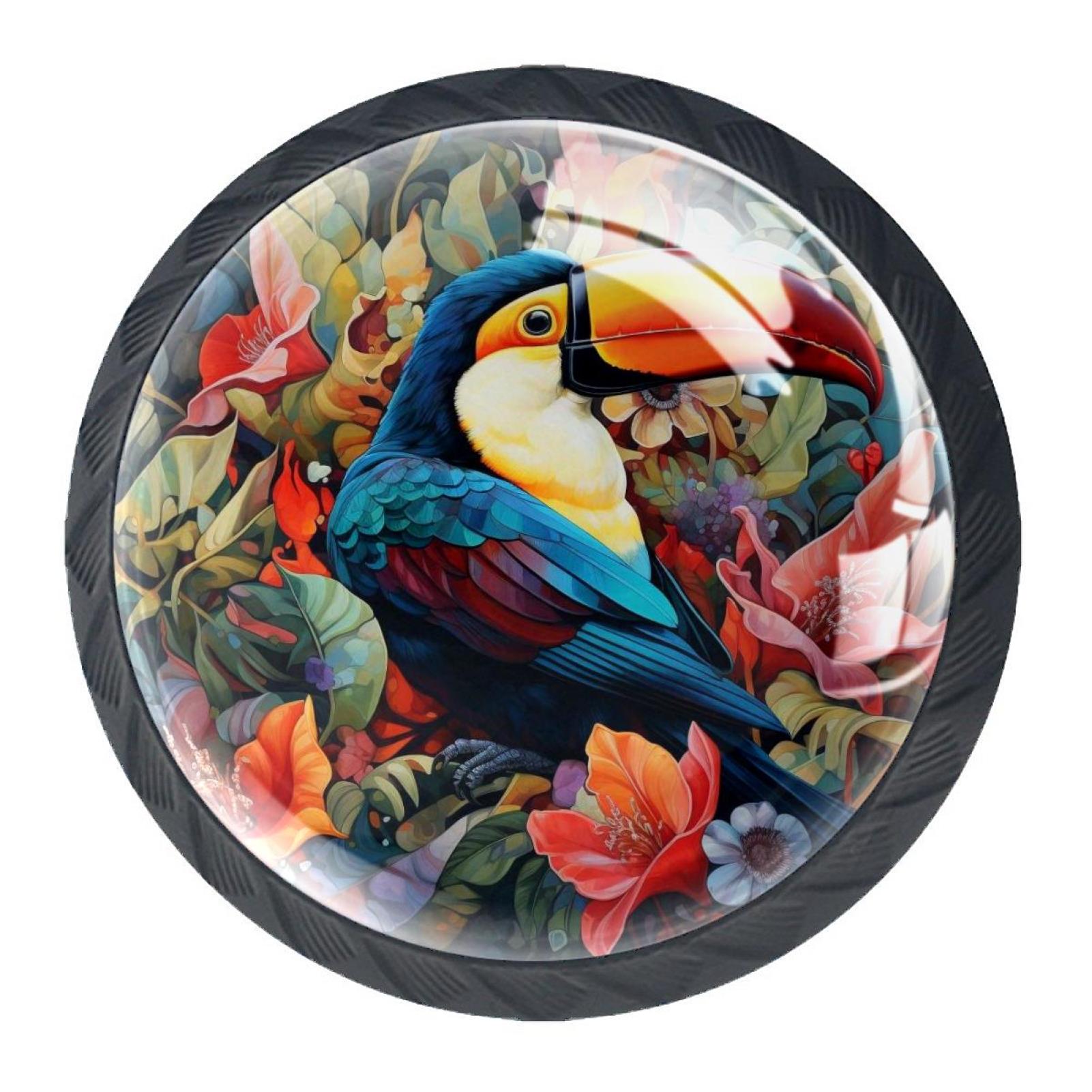 4 Packs Pulls Handles, Toucan Dresser Drawers Knobs,