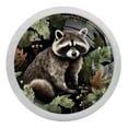 thumbnail image 1 of 4 Packs Cute Raccoon Fluorescence Crystal Glass Cabinet Knobs Drawer Handles for Kitchen Cabinets Dresser Cupboard Wardrobe Pulls Handles, 1 of 7