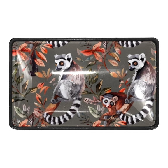 4 Packs Funny Grey Lemurs Crystal Glass Cabinet Knobs Drawer Handles for Kitchen Cabinets Dresser Cupboard Wardrobe Pulls Handles