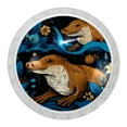 4 Packs Kitchen Knobs Drawer Knobs Dresser Knobs, Platypus