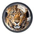 4 Packs Leopard Crystal Knobs, Black Dresser Knobs with Screws