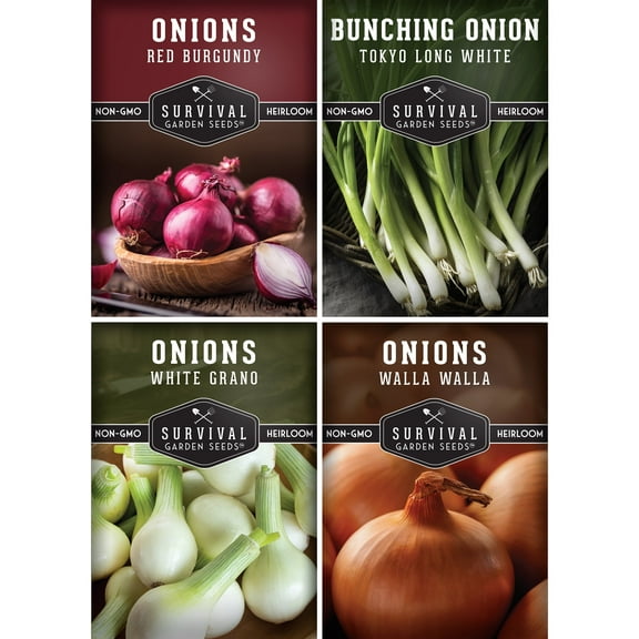 4 Packs Onion Seed Collection - Full-Sun Biennial Vegetable Seeds