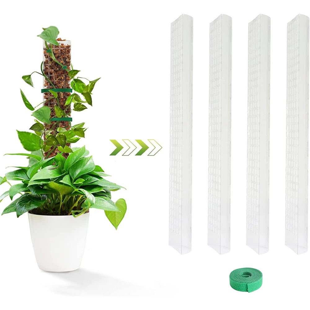 Shop Sphagnum Moss Poles & Plant Support Stakes for Indoor Gardens