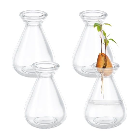 4 Pcs Avocado Seed Starter Vases Clear Glass Avocado Growing Pot Plant Germination Vases
