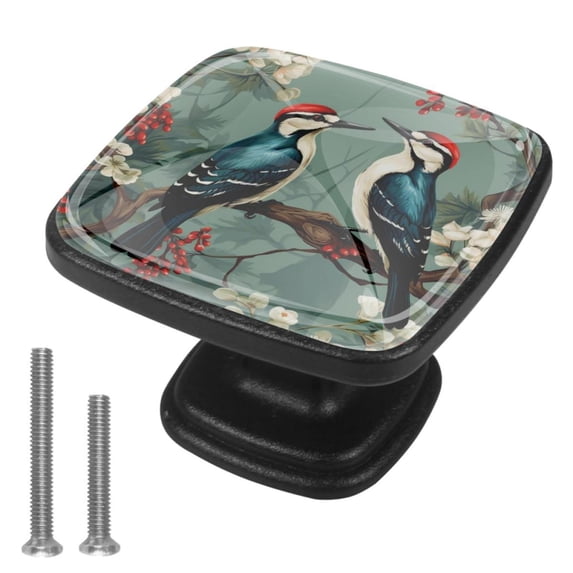 4 Pcs Cabinet Handle Drawer Pulls Woodpecker Knobs with Screws Square Furniture Office Cabinet Knob Decoration