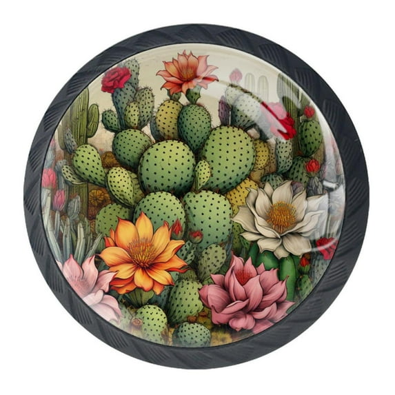 4 Pcs Cactus Knobs for Kitchen Cabinet Cupboard Dresser Bookcase Drawer Pulls Handles Round Home Decor