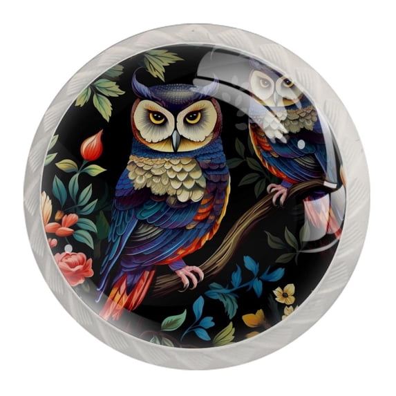 4 Pcs Cartoon Owl Knobs for Kitchen Cabinet Cupboard Dresser Bookcase Drawer Pulls Handles Round Home Decor