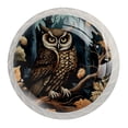 thumbnail image 1 of 4 Pcs Cartoon Owl Knobs for Kitchen Cabinet Cupboard Dresser Bookcase Drawer Pulls Handles Round Home Decor, 1 of 8