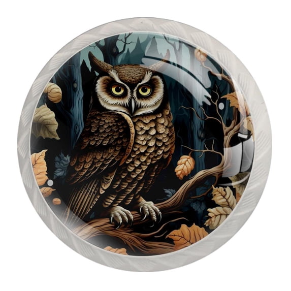 4 Pcs Cartoon Owl Knobs for Kitchen Cabinet Cupboard Dresser Bookcase Drawer Pulls Handles Round Home Decor