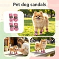thumbnail image 1 of 4 Pcs, Dog Shoes for Small Dogs 1.5 Inch Mesh Breathable Dog Summer Shoes Non Slip Paw Protectors Pet Sandals for Daily Walking Outdoor Hot Pavement Pink, 1 of 6
