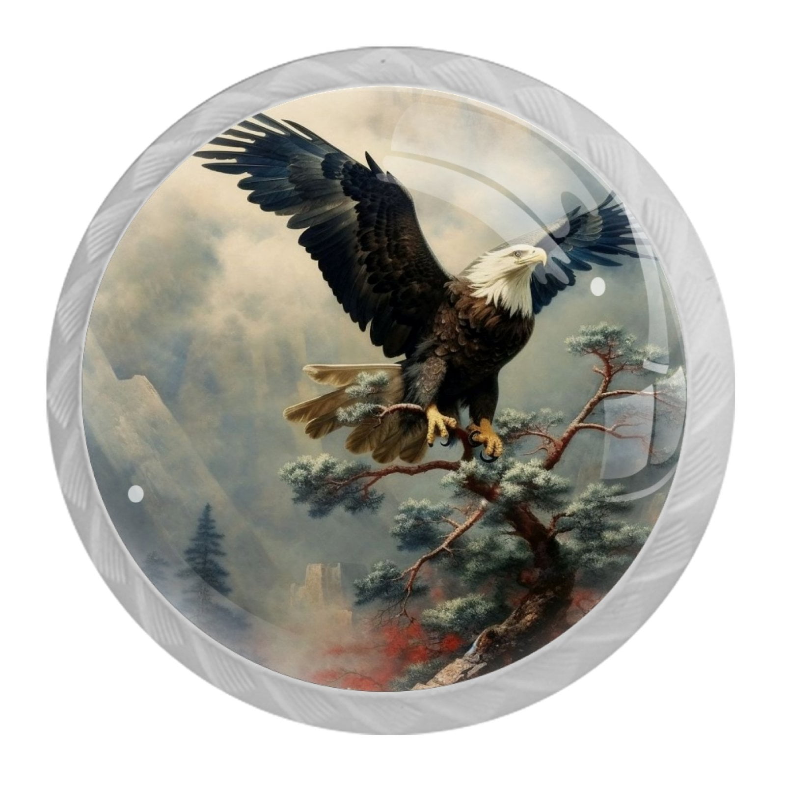 4 Pcs Eagle Knobs for Kitchen Cabinet Cupboard Dresser Bookcase Drawer Pulls Handles Round Home Decor
