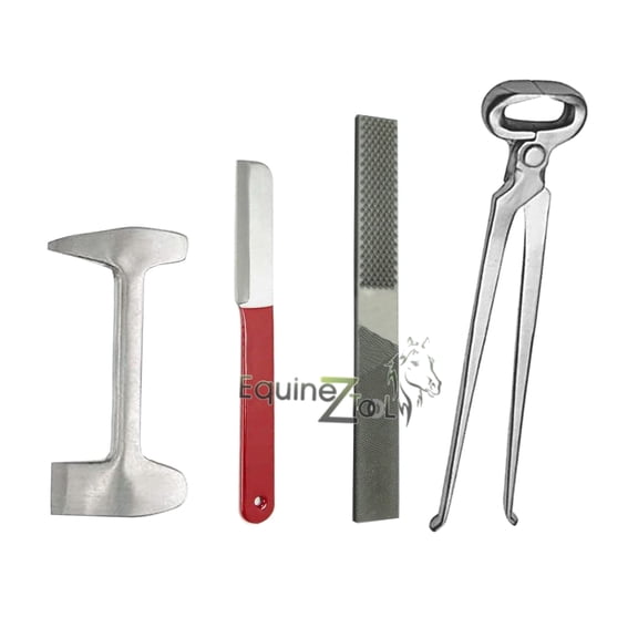 4 Pcs Farrier Horse Hoof Kit with Hoof Nipper Hoof rasps & Scraper and Buffer
