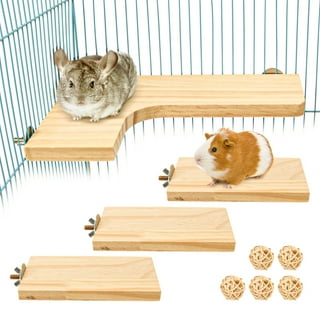 Hamster Cage Accessories