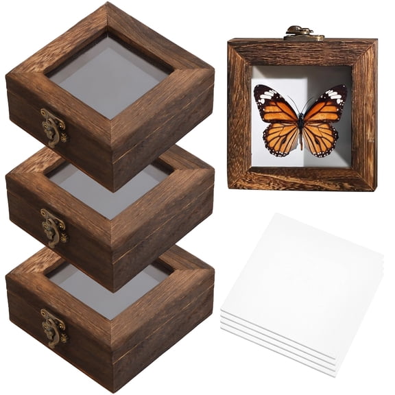 4 Pcs Insect Display Case with Clear Window, Compact Square Wood Specimen Box, EVA Foam Pinning Board, Bug Pinning Kit for Insect Collection, Carbon, 3.9x3.9x1.8 in