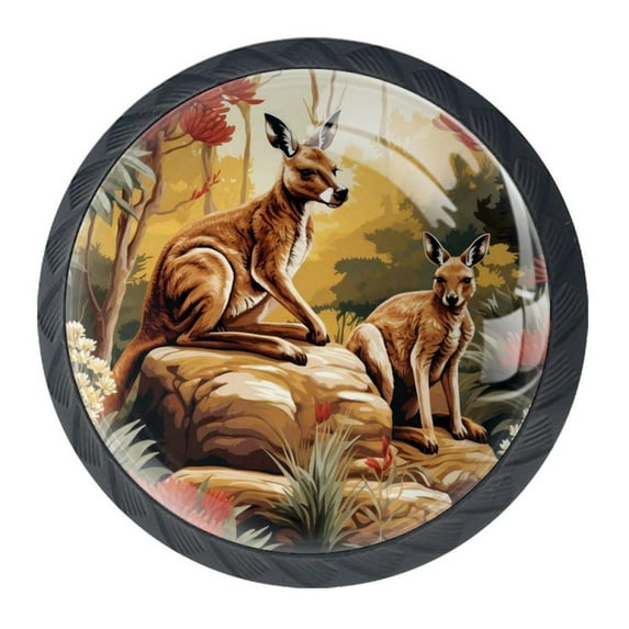 4 Pcs Kangaroo Knobs for Kitchen Cabinet Cupboard Dresser Bookcase Drawer Pulls Handles Round Home Decor