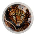 thumbnail image 1 of 4 Pcs Leopard Knobs for Kitchen Cabinet Cupboard Dresser Bookcase Drawer Pulls Handles Round Home Decor, 1 of 8