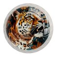 thumbnail image 1 of 4 Pcs Leopard Knobs for Kitchen Cabinet Cupboard Dresser Bookcase Drawer Pulls Handles Round Home Decor, 1 of 8