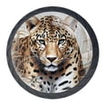 thumbnail image 1 of 4 Pcs Leopard Knobs for Kitchen Cabinet Cupboard Dresser Bookcase Drawer Pulls Handles Round Home Decor, 1 of 8