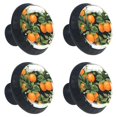4 Pcs Oranges Fruit Print Knobs 30mm Round Crystal Glass Drawer