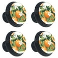 4 Pcs Oranges Fruit Print Knobs 30mm Round Crystal Glass Drawer