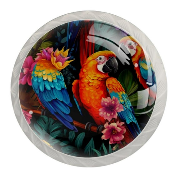 4 Pcs Parrot Knobs for Kitchen Cabinet Cupboard Dresser Bookcase Drawer Pulls Handles Round Home Decor