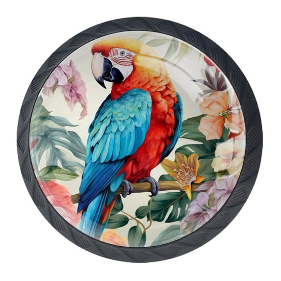 4 Pcs Parrot Knobs for Kitchen Cabinet Cupboard Dresser Bookcase Drawer Pulls Handles Round Home Decor
