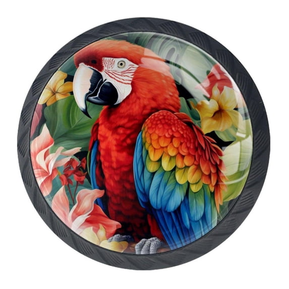 4 Pcs Parrot Knobs for Kitchen Cabinet Cupboard Dresser Bookcase Drawer Pulls Handles Round Home Decor