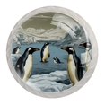 thumbnail image 1 of 4 Pcs Penguin Knobs for Kitchen Cabinet Cupboard Dresser Bookcase Drawer Pulls Handles Round Home Decor, 1 of 8