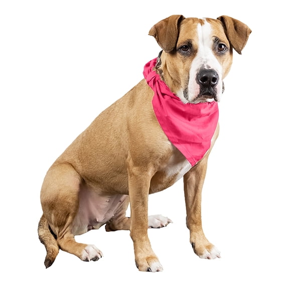 4 Pcs Plain Cotton Pets Dogs Bandana Triangle Shape - Large & Washable (Hot Pink)