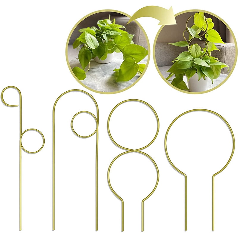 4 Pcs of Plant Trellis for Indoor Plants, Adjustable Iron Plant Support ...