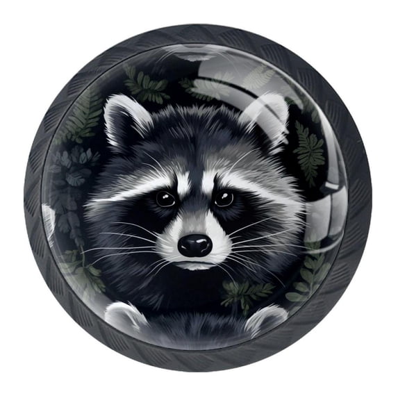 4 Pcs Raccoon Knobs for Kitchen Cabinet Cupboard Dresser Bookcase Drawer Pulls Handles Round Home Decor