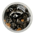 thumbnail image 1 of 4 Pcs Raccoon Knobs for Kitchen Cabinet Cupboard Dresser Bookcase Drawer Pulls Handles Round Home Decor, 1 of 8