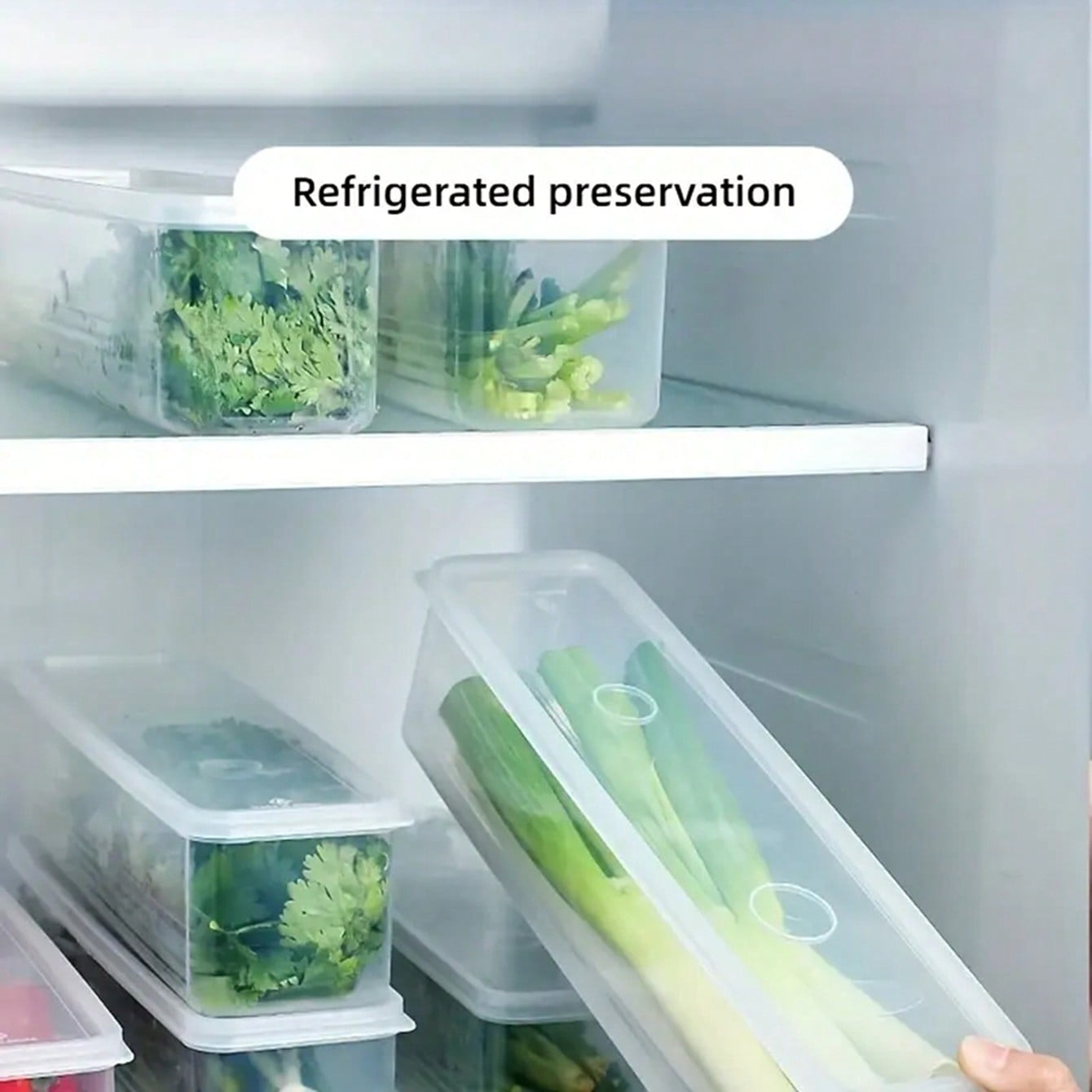 4 Pcs Rectangular Food Storage Containers – 4-Piece Set for Scallions ...