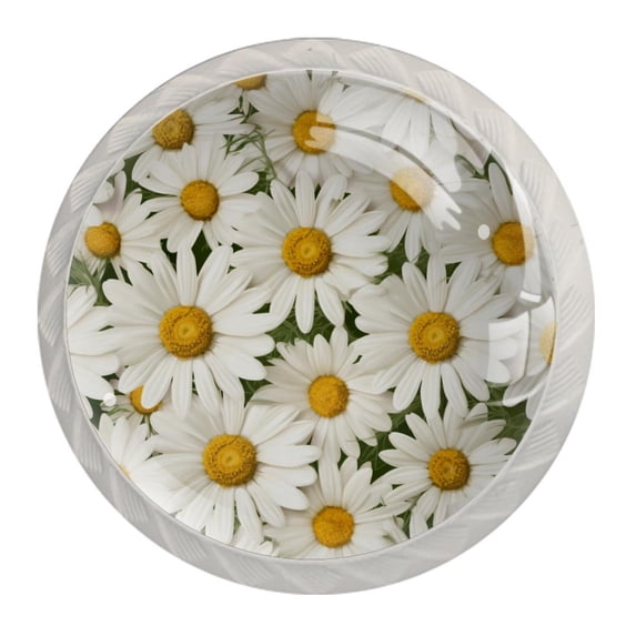 4 Pcs Round White Knobs for Kitchen Cabinet Cupboard Dresser Bookcase Daisy Drawer Pulls Handles Home Decor