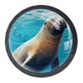 thumbnail image 1 of 4 Pcs Sea Lion Knobs for Kitchen Cabinet Cupboard Dresser Bookcase Drawer Pulls Handles Round Home Decor, 1 of 8